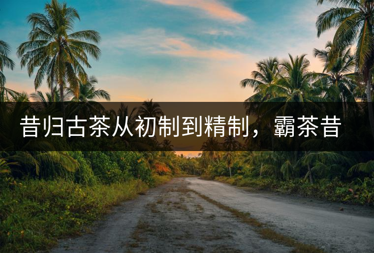 昔歸古茶從初制到精制，霸茶昔歸茶農(nóng)專業(yè)合作社成立