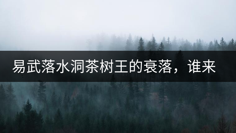 易武落水洞茶樹(shù)王的衰落，誰(shuí)來(lái)關(guān)注古樹(shù)茶？