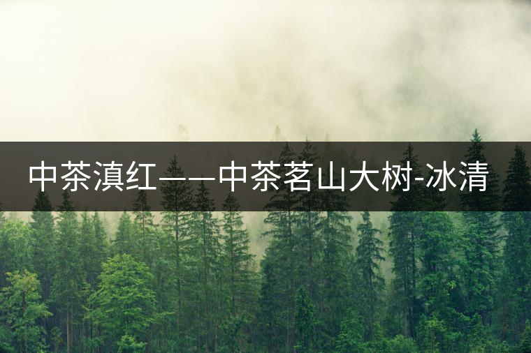 中茶滇紅——中茶茗山大樹-冰清紅袖②號(hào) 中茶滇紅——中茶茗山大樹-冰清紅袖②號(hào)