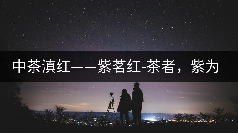 中茶滇紅——紫茗紅-茶者，紫為上