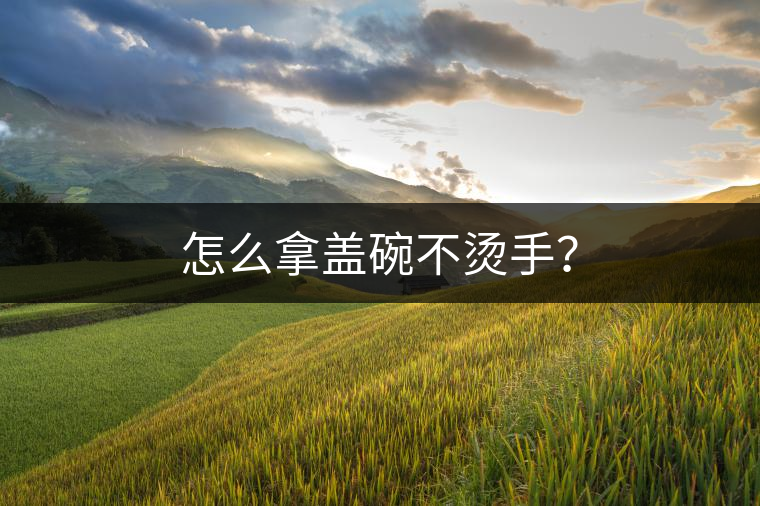 怎么拿蓋碗不燙手? 怎么拿蓋碗不燙手?