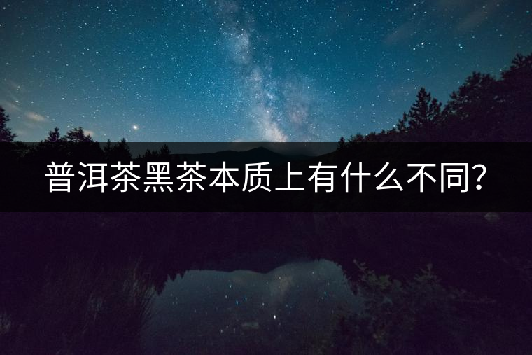 普洱茶黑茶本質(zhì)上有什么不同? 普洱茶黑茶本質(zhì)上有什么不同?