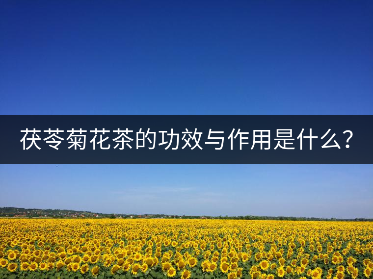 茯苓菊花茶的功效與作用是什么？