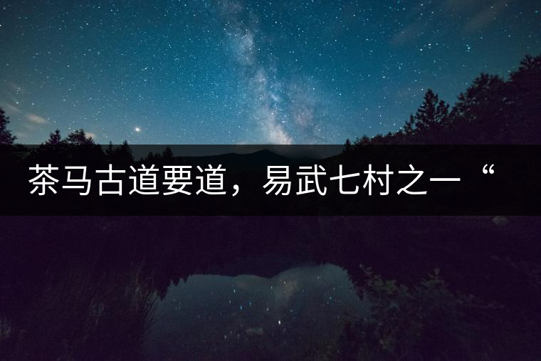 茶馬古道要道，易武七村之一“張家灣”古茶園