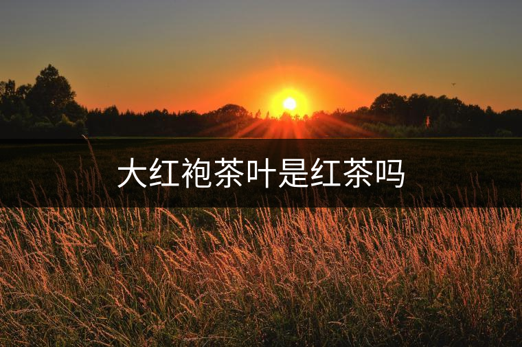 大紅袍茶葉是紅茶嗎