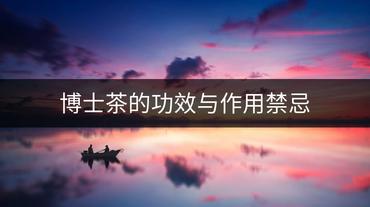 博士茶的功效與作用禁忌 博士茶的功效與作用禁忌