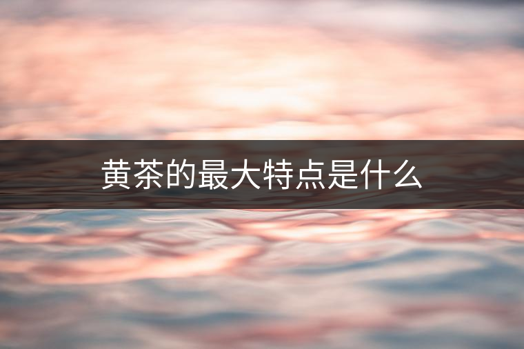 黃茶的最大特點(diǎn)是什么 黃茶的最大特點(diǎn)是什么