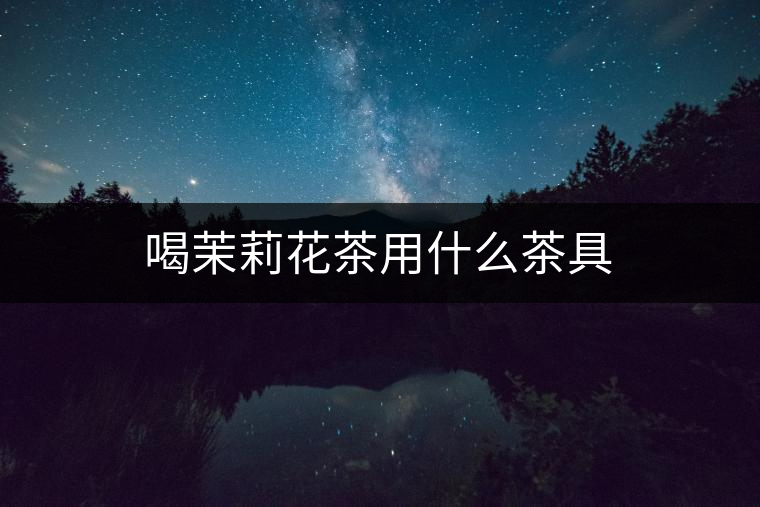 喝茉莉花茶用什么茶具