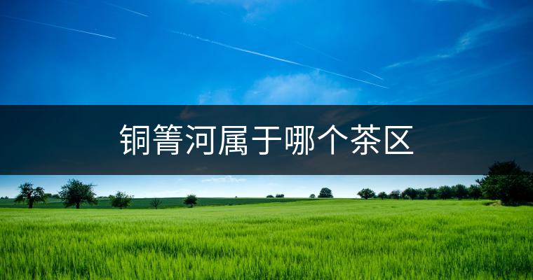 銅箐河屬于哪個(gè)茶區(qū)