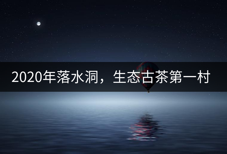 2020年落水洞，生態(tài)古茶第一村-易武中聘號