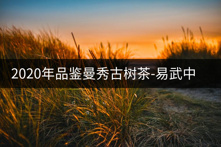 2020年品鑒曼秀古樹茶-易武中聘號 2020年品鑒曼秀古樹茶-易武中聘號