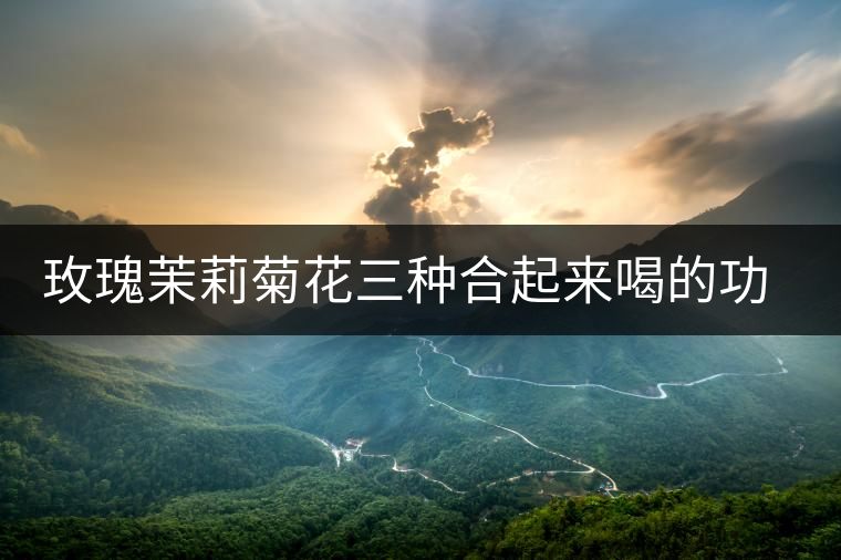 玫瑰茉莉菊花三種合起來喝的功效