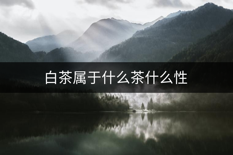 白茶屬于什么茶什么性