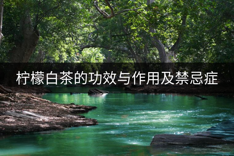 檸檬白茶的功效與作用及禁忌癥