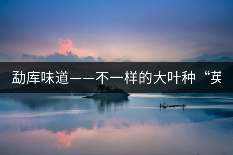 勐庫(kù)味道——不一樣的大葉種“英豪”