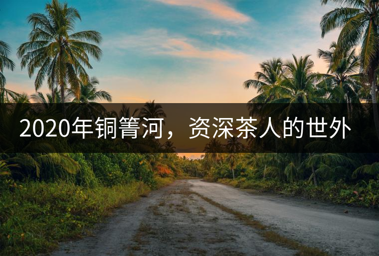 2020年銅箐河，資深茶人的世外桃源-易武-易武中聘號(hào)