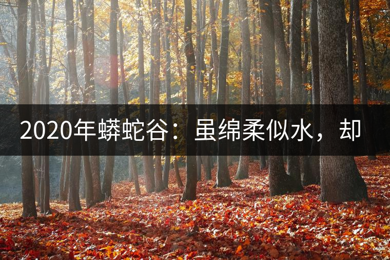 2020年蟒蛇谷：雖綿柔似水，卻氣場十足-易武中聘號