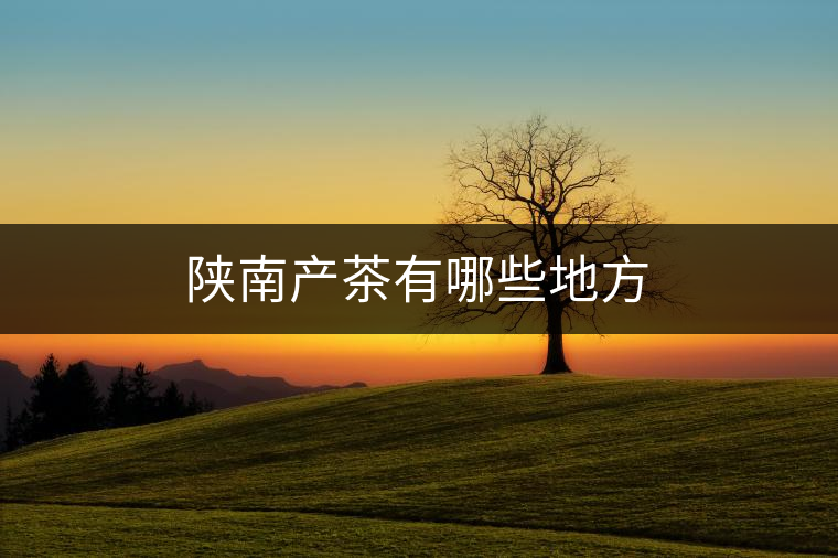 陜南產(chǎn)茶有哪些地方