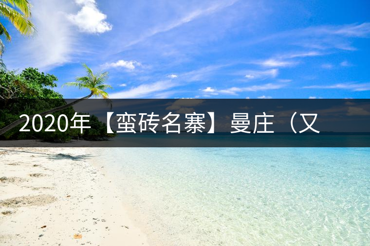 2020年【蠻磚名寨】曼莊（又作：蠻磚、曼磚）-易武中聘號(hào)