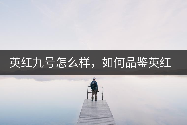 英紅九號(hào)怎么樣，如何品鑒英紅九號(hào)紅茶
