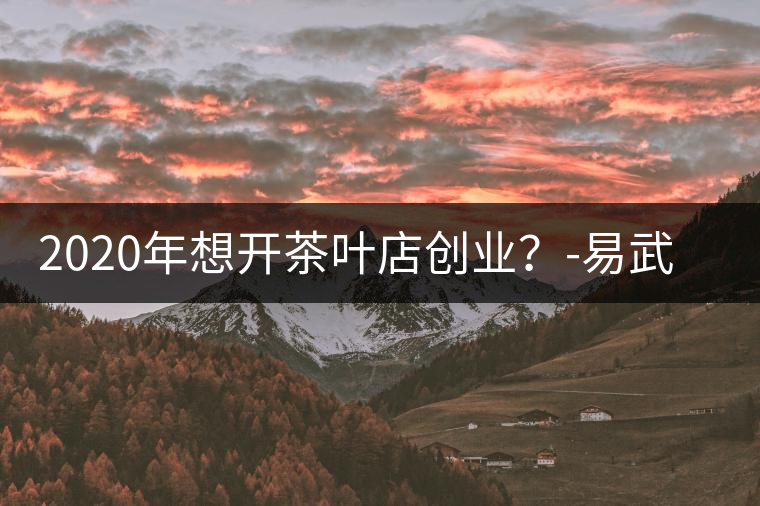 2020年想開茶葉店創(chuàng)業(yè)？-易武中聘號