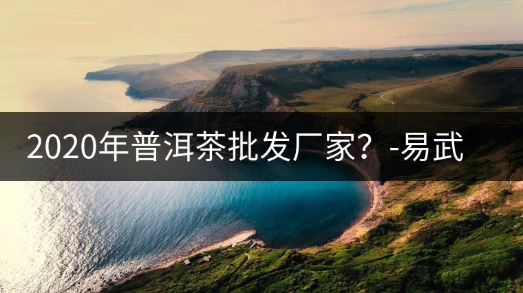 2020年普洱茶批發(fā)廠家？-易武中聘號