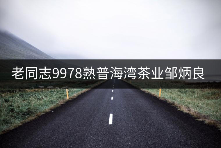 老同志9978熟普海灣茶業(yè)鄒炳良經(jīng)典配方云南普洱茶熟茶餅茶357g