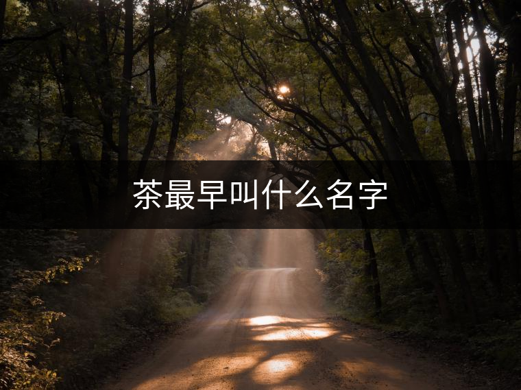 茶最早叫什么名字 茶最早叫什么名字