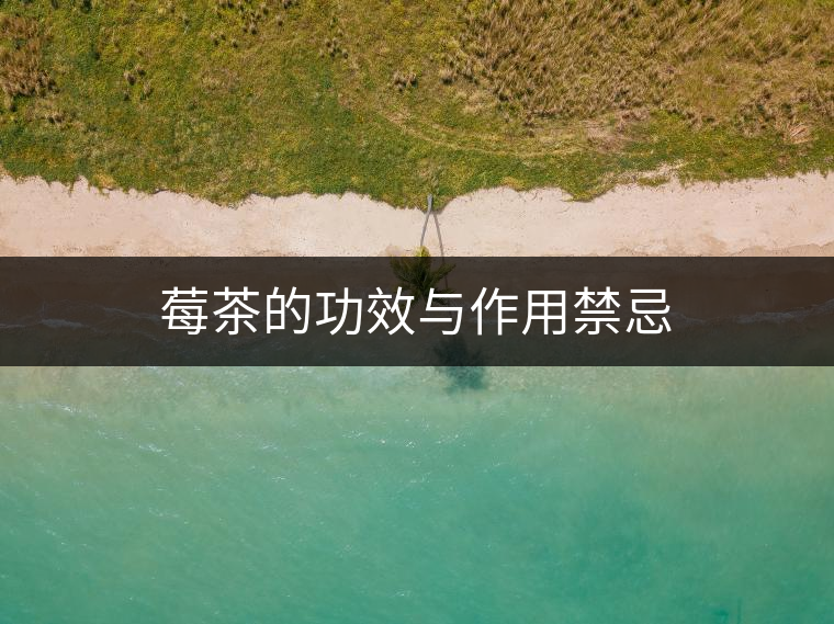 莓茶的功效與作用禁忌 莓茶的功效與作用禁忌