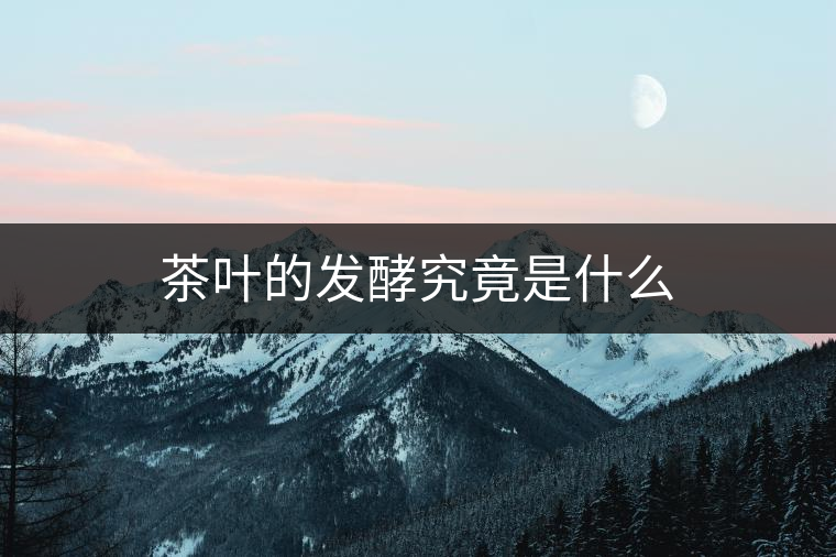 茶葉的發(fā)酵究竟是什么 茶葉的發(fā)酵究竟是什么