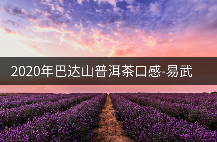 2020年巴達(dá)山普洱茶口感-易武中聘號