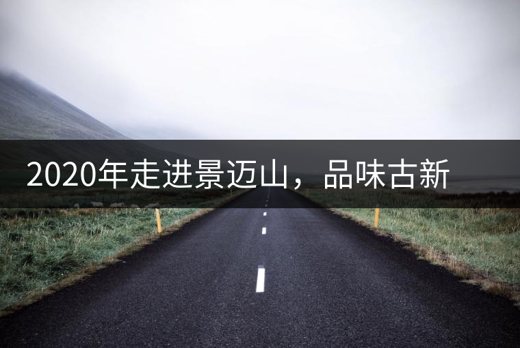 2020年走進景邁山，品味古新六大茶山古樹茶之韻-易武中聘號