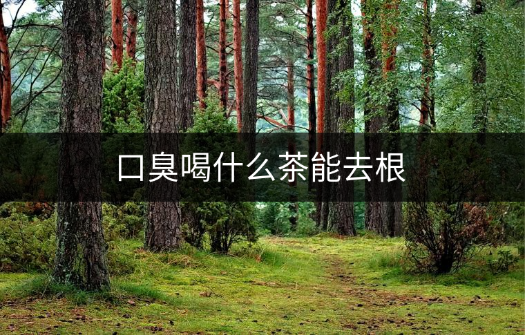 口臭喝什么茶能去根 口臭喝什么茶能去根