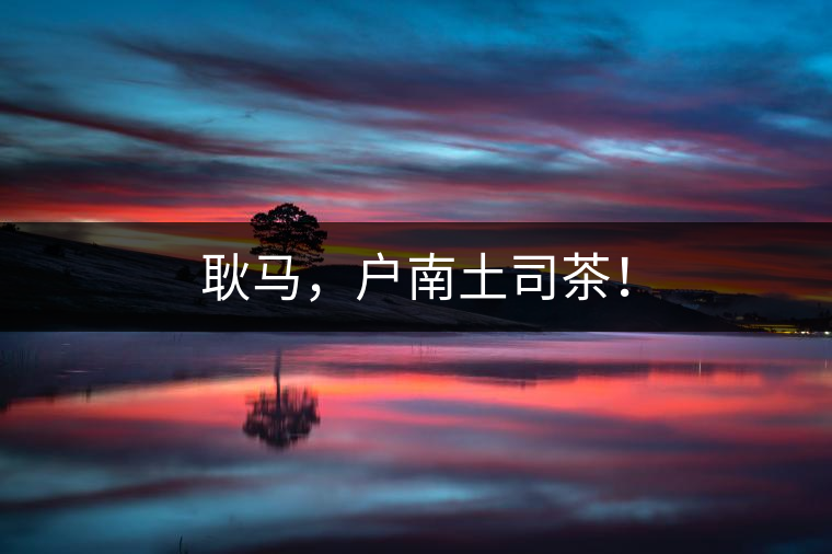 耿馬，戶(hù)南土司茶！