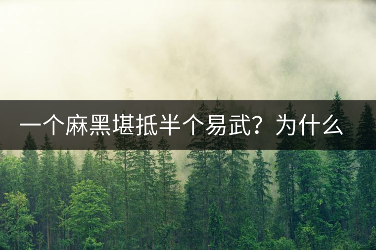 一個麻黑堪抵半個易武？為什么這么好喝？