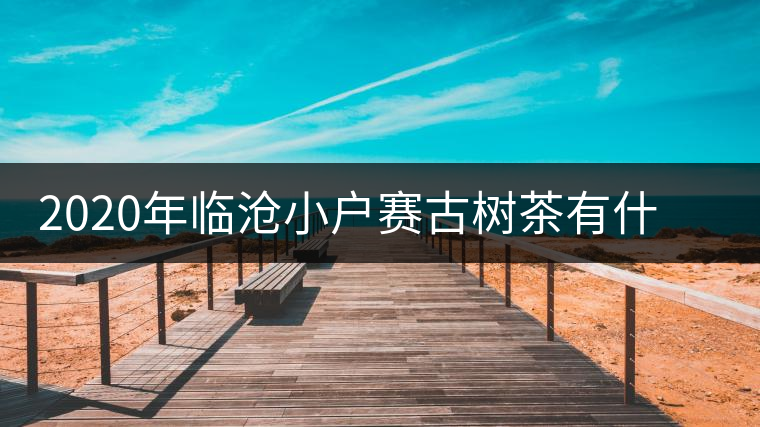 2020年臨滄小戶賽古樹茶有什么特點(diǎn)？因何被稱為“賽冰島”？-易武中聘號