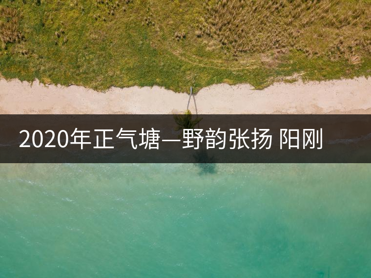 2020年正氣塘—野韻張揚 陽剛豪邁-易武中聘號 2020年正氣塘—野韻張揚 陽剛豪邁-易武中聘號
