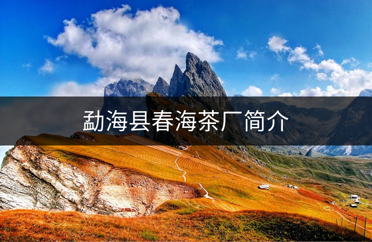 勐?？h春海茶廠簡(jiǎn)介