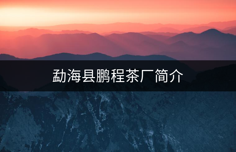 勐?？h鵬程茶廠簡介