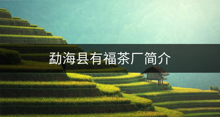 勐??h有福茶廠簡(jiǎn)介 勐海縣有福茶廠簡(jiǎn)介
