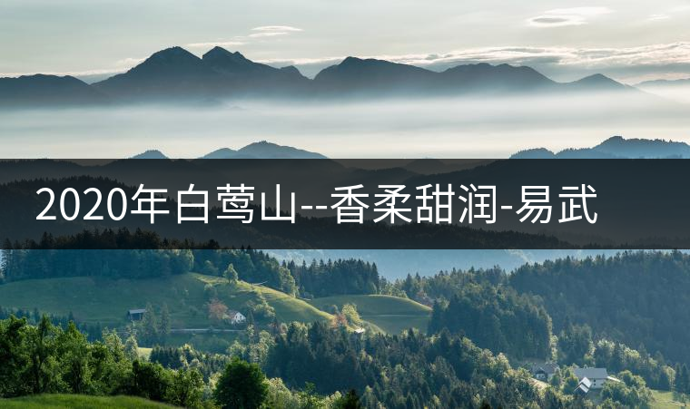 2020年白鶯山--香柔甜潤(rùn)-易武中聘號(hào) 2020年白鶯山--香柔甜潤(rùn)-易武中聘號(hào)