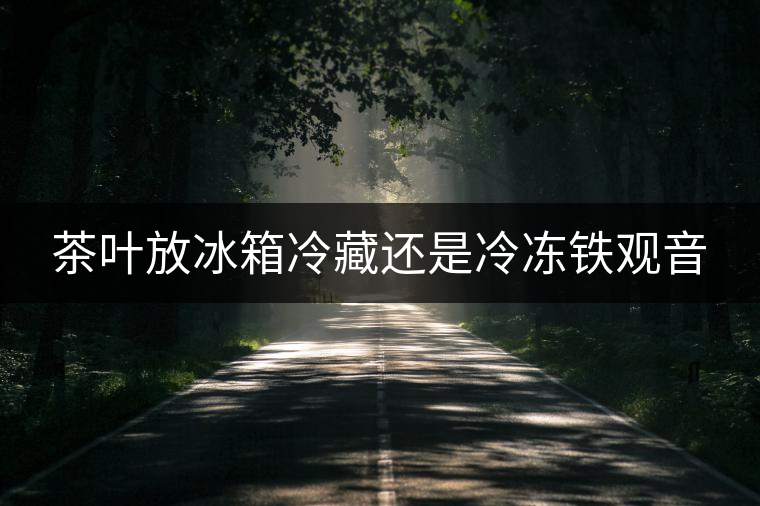 茶葉放冰箱冷藏還是冷凍鐵觀音