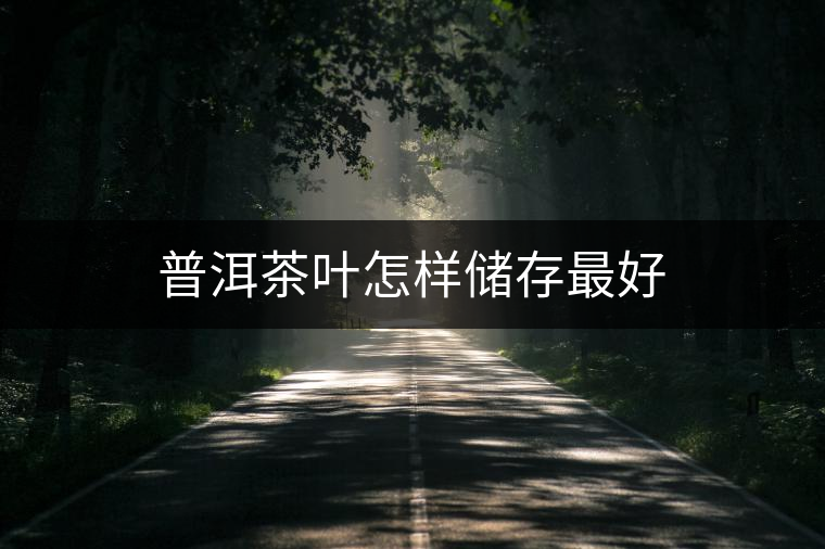 普洱茶葉怎樣儲(chǔ)存最好 普洱茶葉怎樣儲(chǔ)存最好