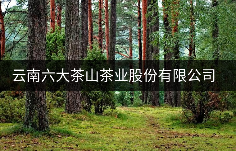 云南六大茶山茶業(yè)股份有限公司勐海普洱茶廠簡(jiǎn)介 云南六大茶山茶業(yè)股份有限公司勐海普洱茶廠簡(jiǎn)介