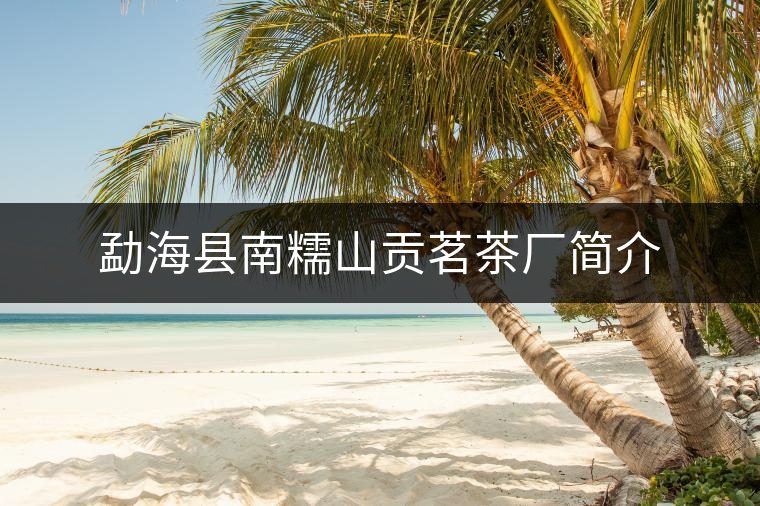 勐??h南糯山貢茗茶廠簡介 勐??h南糯山貢茗茶廠簡介