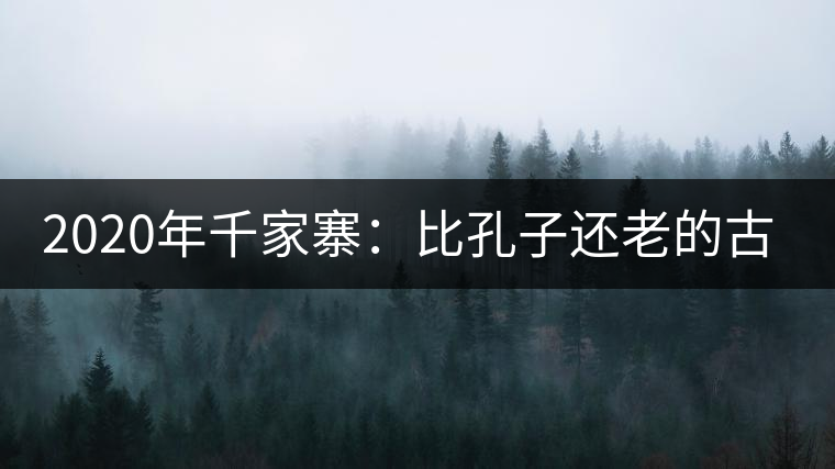 2020年千家寨:比孔子還老的古茶樹-易武中聘號(hào) 2020年千家寨:比孔子還老的古茶樹-易武中聘號(hào)