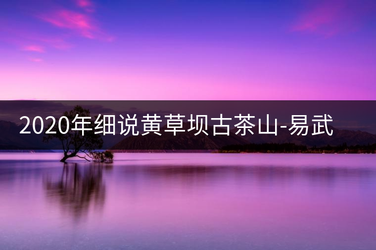 2020年細(xì)說黃草壩古茶山-易武中聘號 2020年細(xì)說黃草壩古茶山-易武中聘號