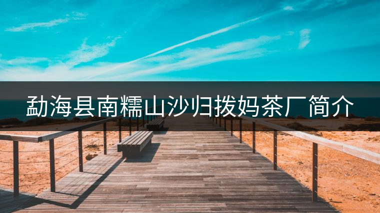 勐?？h南糯山沙歸撥媽茶廠簡介