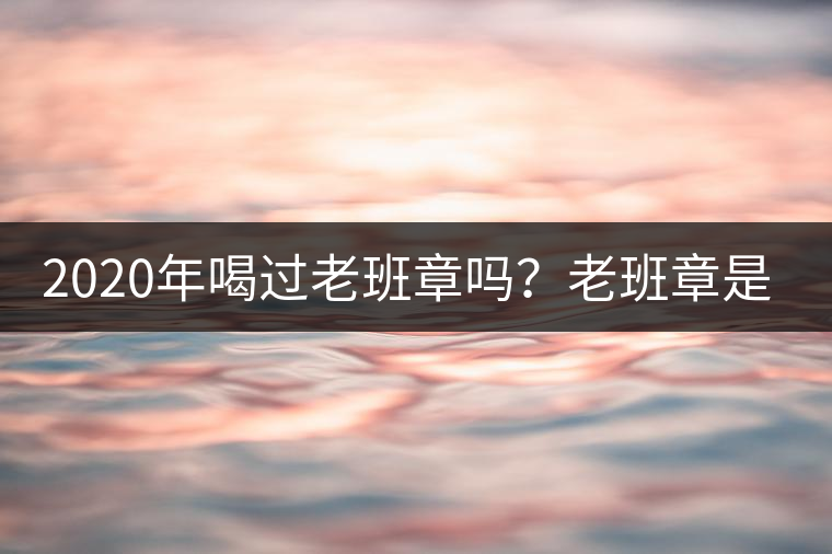 2020年喝過老班章嗎？老班章是什么味道？-易武中聘號