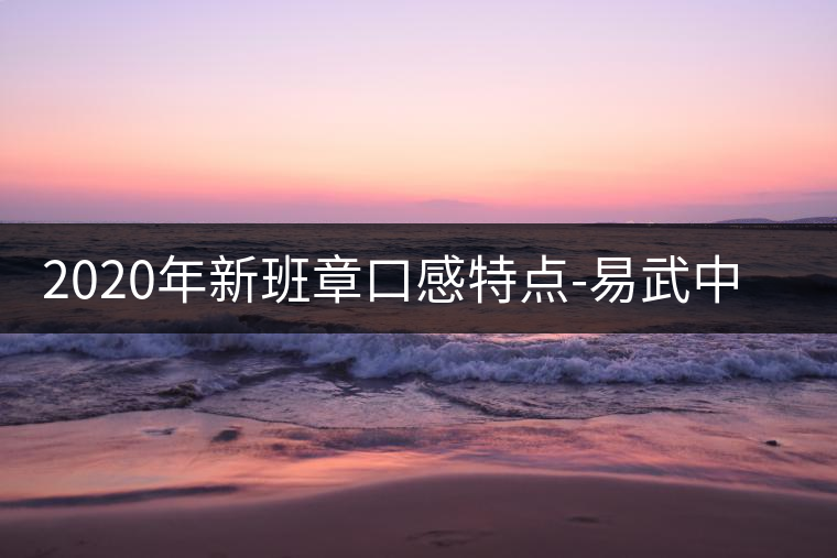 2020年新班章口感特點(diǎn)-易武中聘號(hào) 2020年新班章口感特點(diǎn)-易武中聘號(hào)
